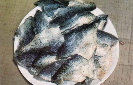 Make the Best of Small Fish Image